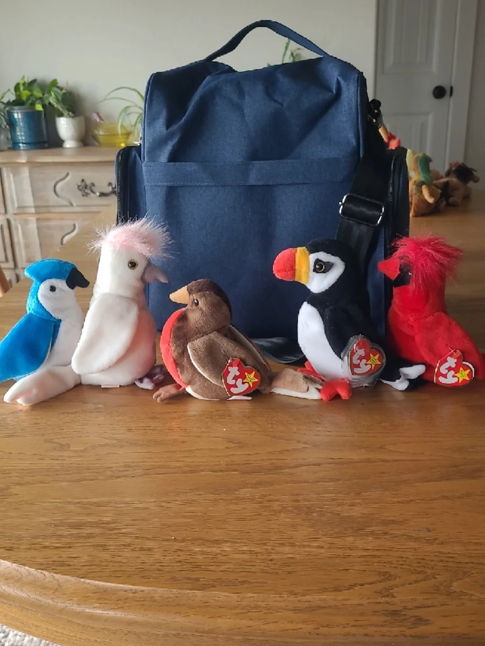 Lot Of 6 Ty Beanie Baby Birds